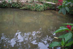 2013-09-23_09-53-04_DSC_3836.jpg