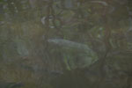 2013-09-23_09-54-26_DSC_3840.jpg