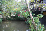 2013-09-23_09-55-17_DSC_3841.jpg