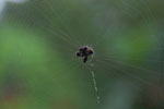 2013-09-23_09-55-51_DSC_3844.jpg