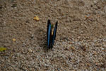 2013-09-23_10-01-13_DSC_3852.jpg