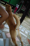 2013-09-23_10-12-56_DSC_3855.jpg