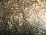 2013-09-23_10-39-13_DSCF7281.jpg