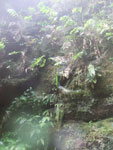2013-09-23_11-00-14_DSCF7309.jpg