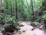 2013-09-23_11-25-55_DSCF7311.jpg
