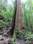 2013-09-23_11-26-07_DSCF7312.jpg