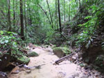 2013-09-23_11-26-15_DSCF7313.jpg