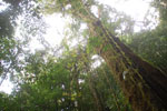 2013-09-23_11-39-20_DSC_3966.jpg