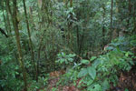 2013-09-23_11-40-23_DSC_3969.jpg