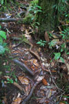 2013-09-23_11-44-17_DSC_3973.jpg