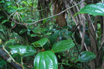 2013-09-23_11-44-37_DSC_3974.jpg