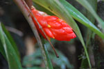 2013-09-23_11-48-53_DSC_3977.jpg