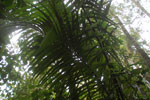 2013-09-23_11-58-28_DSC_3982.jpg