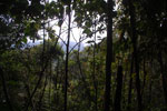2013-09-23_11-58-44_DSC_3984.jpg