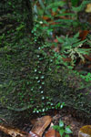 2013-09-23_12-10-19_DSC_3989.jpg