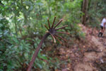 2013-09-23_12-15-07_DSC_3994.jpg