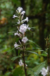 2013-09-23_12-21-32_DSC_3995.jpg
