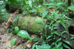 2013-09-23_12-24-44_DSC_4005.jpg