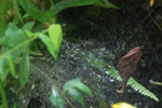 2013-09-23_12-27-53_DSC_4006.jpg