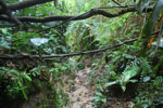 2013-09-23_12-29-58_DSC_4009.jpg