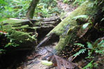 2013-09-23_12-30-11_DSC_4010.jpg