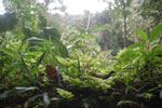 2013-09-23_12-35-39_DSC_4016.jpg