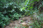 2013-09-23_12-39-25_DSC_4017.jpg