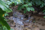 2013-09-23_12-39-31_DSC_4019.jpg