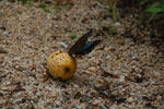 2013-09-23_13-11-31_DSC_4028.jpg