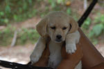 2013-09-23_13-39-22_DSC_4071.jpg