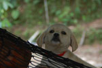 2013-09-23_13-40-38_DSC_4084.jpg