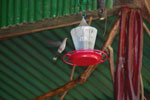 2013-09-23_14-45-26_DSC_4120.jpg