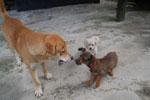 2013-09-23_15-41-17_DSC_4125.jpg