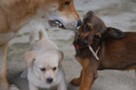 2013-09-23_15-41-19_DSC_4126.jpg