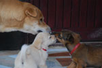 2013-09-23_15-42-00_DSC_4132.jpg