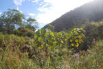 2013-09-23_15-46-13_DSC_4134.jpg