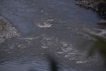 2013-09-23_16-01-18_DSC_4160.jpg