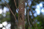 2013-09-23_16-04-08_DSC_4165.jpg