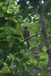 2013-09-23_16-05-27_DSC_4167.jpg