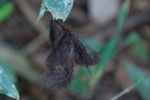 2013-09-23_16-08-21_DSC_4170.jpg