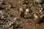 2013-09-23_16-14-11_DSC_4176.jpg