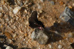2013-09-23_16-14-36_DSC_4180.jpg