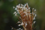 2013-09-23_16-15-23_DSC_4183.jpg