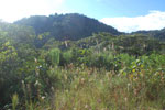 2013-09-23_16-15-29_DSC_4185.jpg