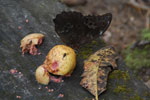 2013-09-23_16-46-53_DSC_4193.jpg