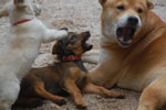 2013-09-23_16-47-25_DSC_4196.jpg
