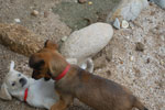 2013-09-23_16-47-55_DSC_4210.jpg