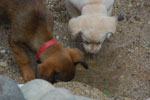 2013-09-23_16-49-15_DSC_4219.jpg