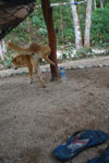 2013-09-23_16-54-23_DSC_4248.jpg