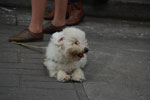 2013-09-27_15-41-29_DSC_4561.jpg